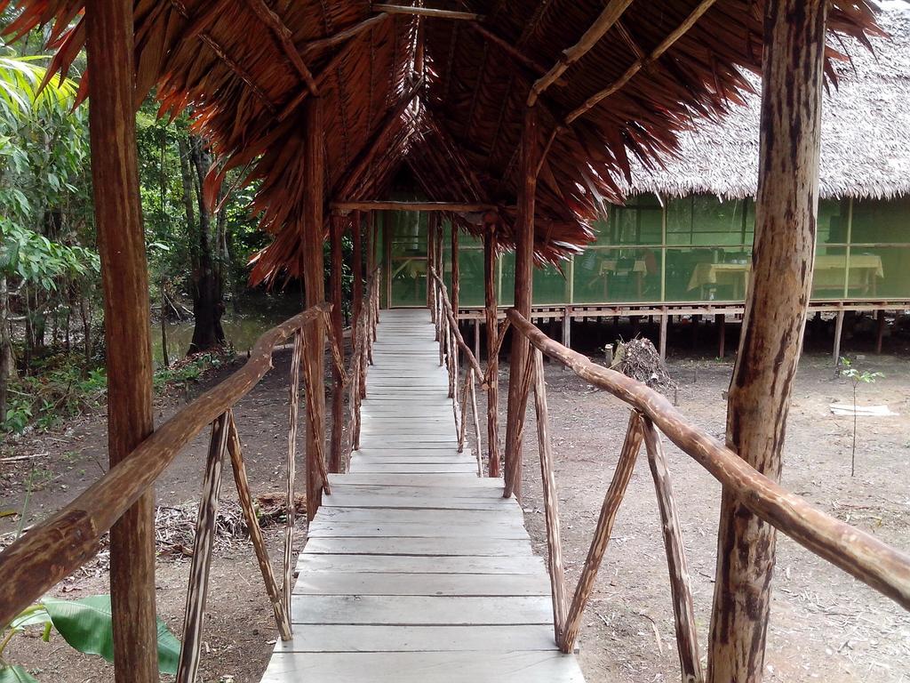 Amazon Queen Lodge Mazán Стая снимка