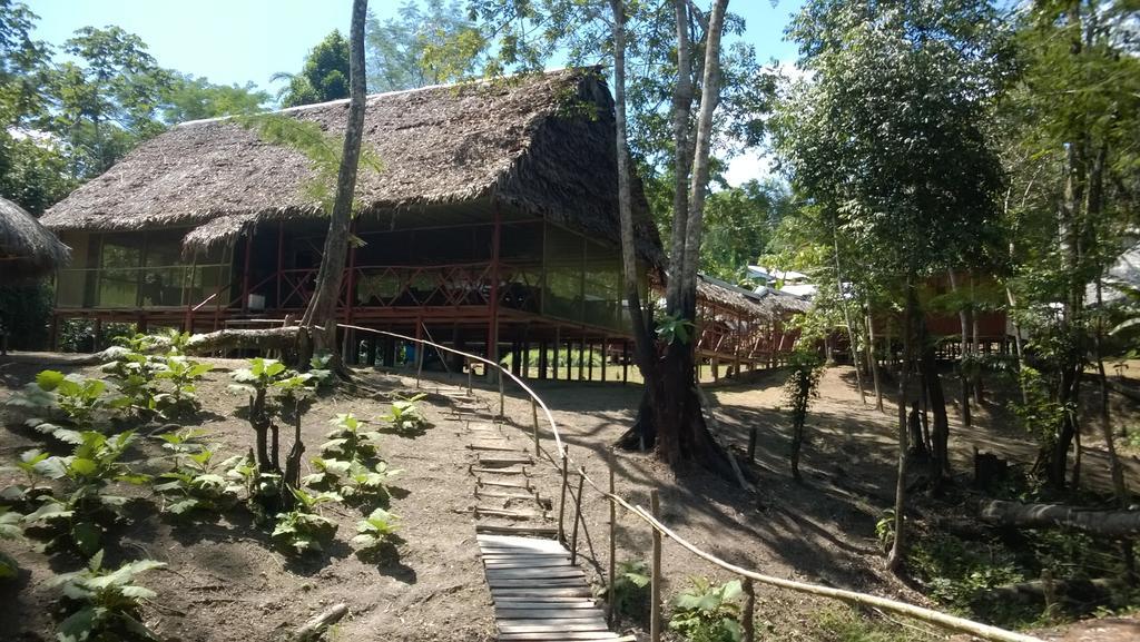 Amazon Queen Lodge Mazán Стая снимка