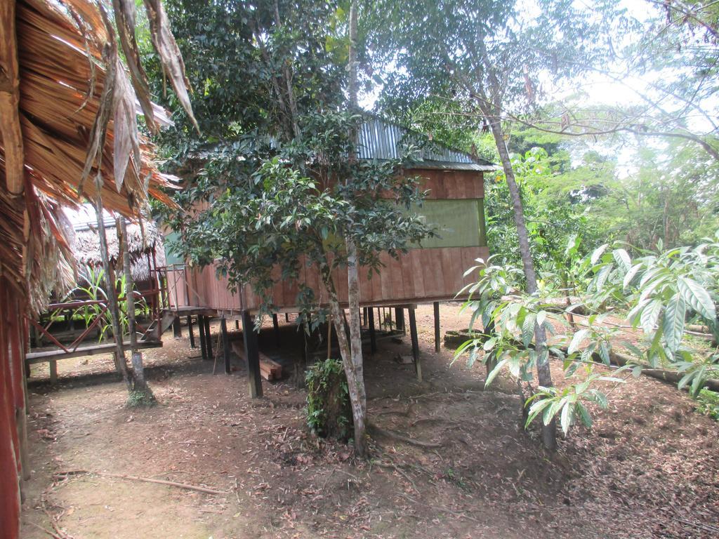 Amazon Queen Lodge Mazán Екстериор снимка