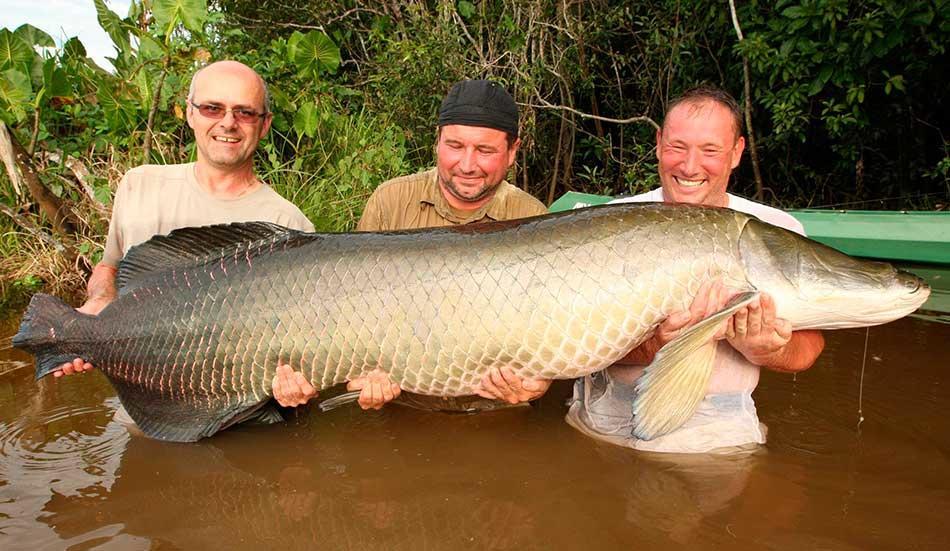 Amazon Queen Lodge Mazán Екстериор снимка